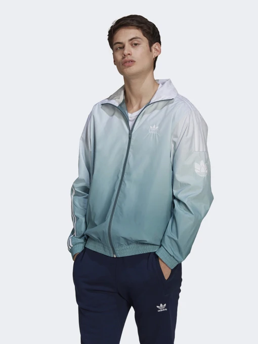 Худи и свитшоты Adidas ADICOLOR 3D TREFOIL OMBRÉ модель GN3589 Фото