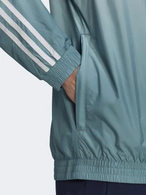 Худи и свитшоты Adidas ADICOLOR 3D TREFOIL OMBRÉ модель GN3589 Фото
