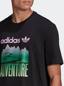 Футболки і поло Adidas ADVENTURE MOUNTAIN LOGO модель GN2357 Фото