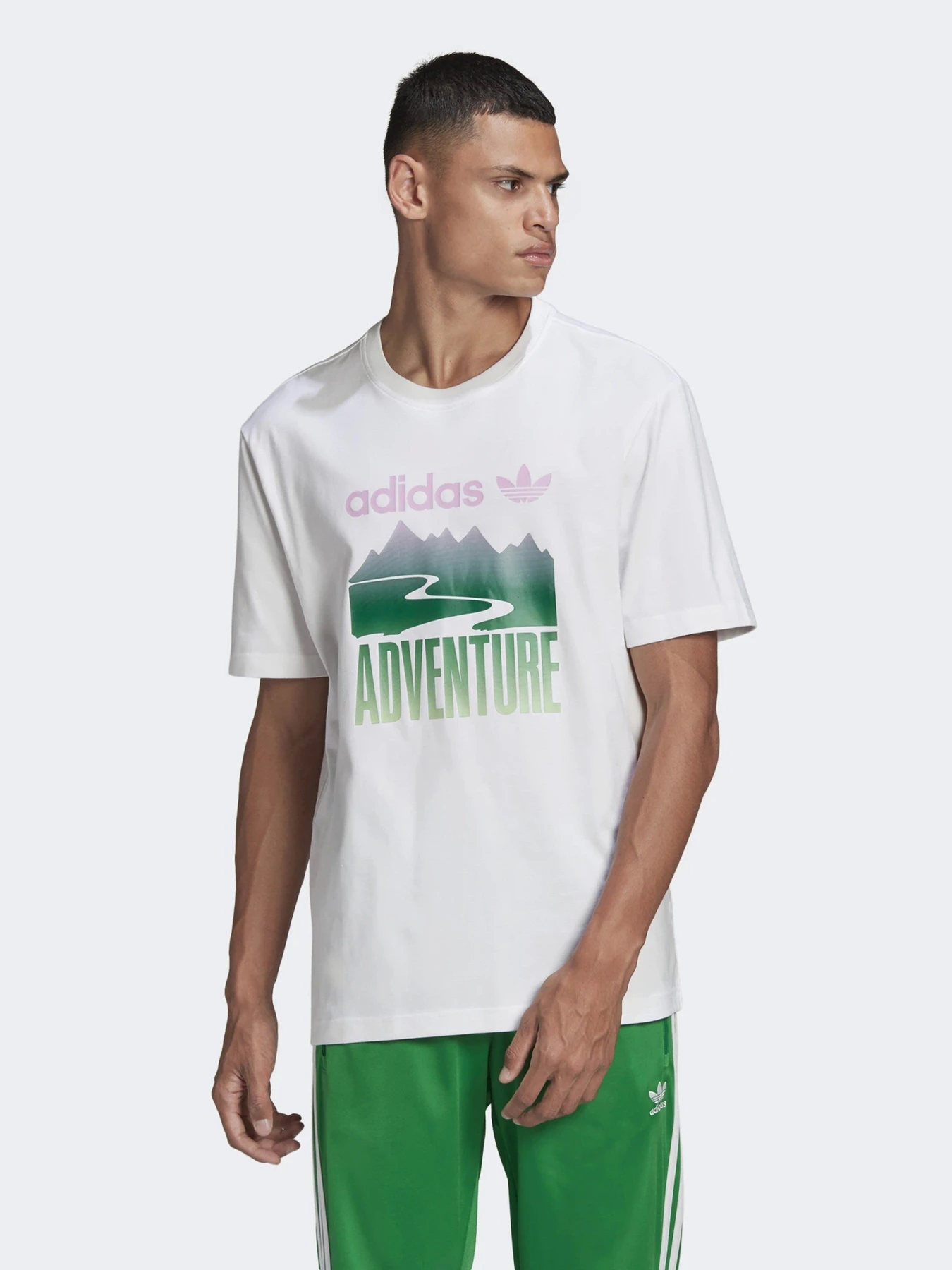 Футболки и поло Adidas ADVENTURE MOUNTAIN LOGO модель GN2358 Футболки и поло Adidas ADVENTURE MOUNTAIN LOGO модель GN2358 Фото