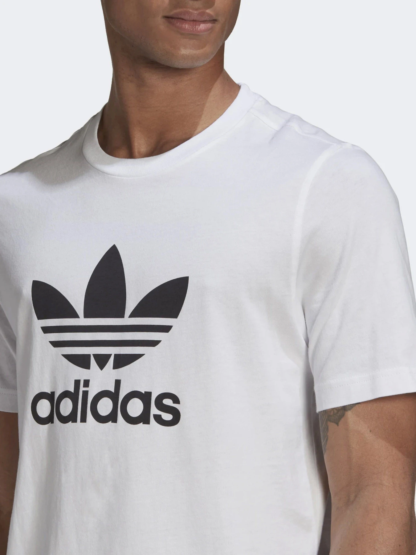 Футболки и поло Adidas ADICOLOR CLASSICS TREFOIL модель GN3463 Футболки и поло Adidas ADICOLOR CLASSICS TREFOIL модель GN3463 Фото