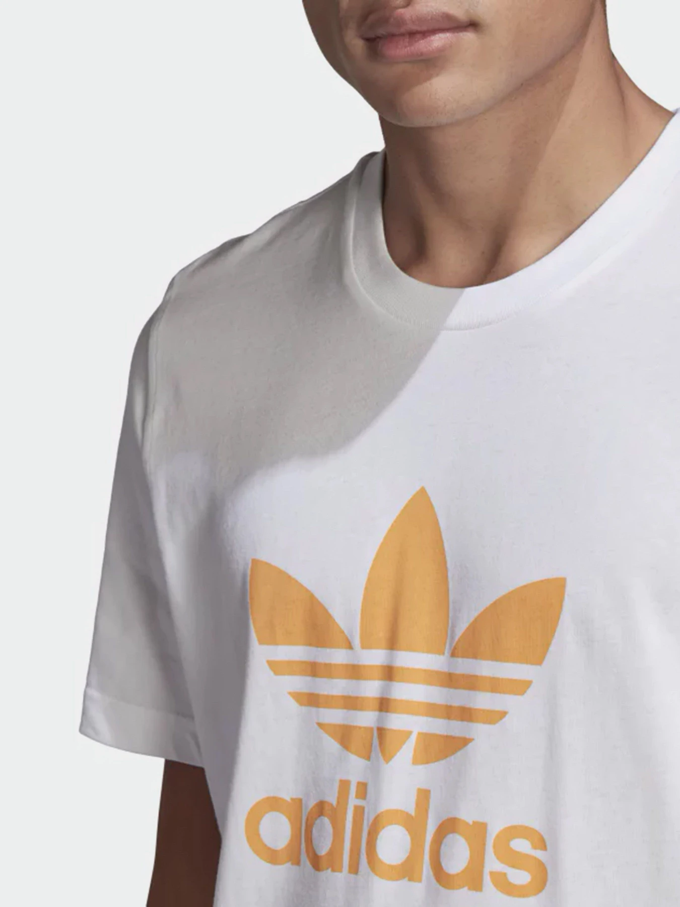 Футболки и поло Adidas ADICOLOR CLASSICS TREFOIL модель GN3486 Футболки и поло Adidas ADICOLOR CLASSICS TREFOIL модель GN3486 Фото