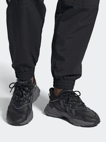Кроссовки Adidas OZWEEGO модель EE7004 Фото