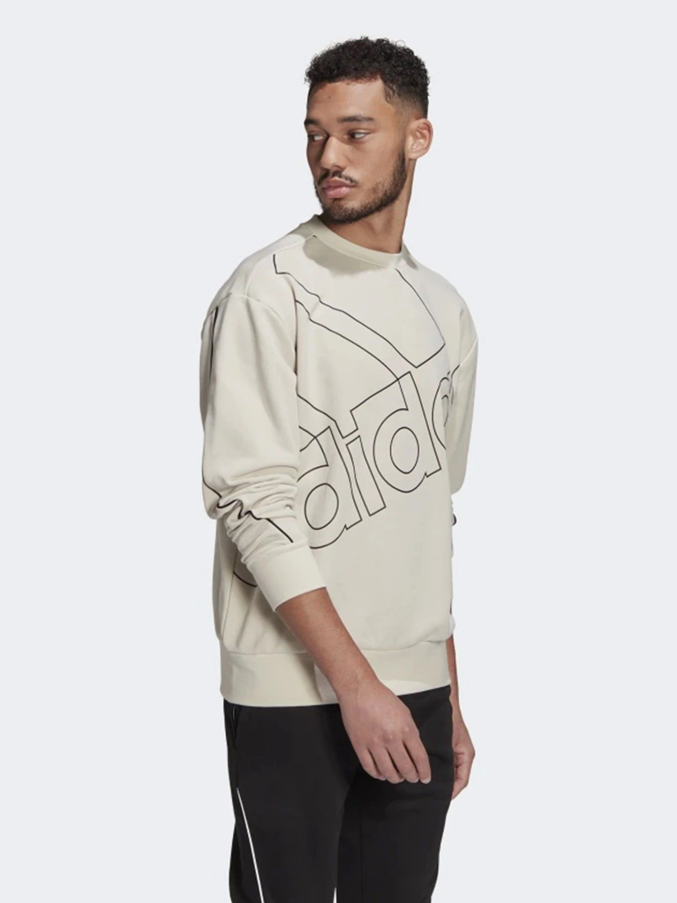 Худі та світшоти Adidas GIANT LOGO модель GK9373 Фото