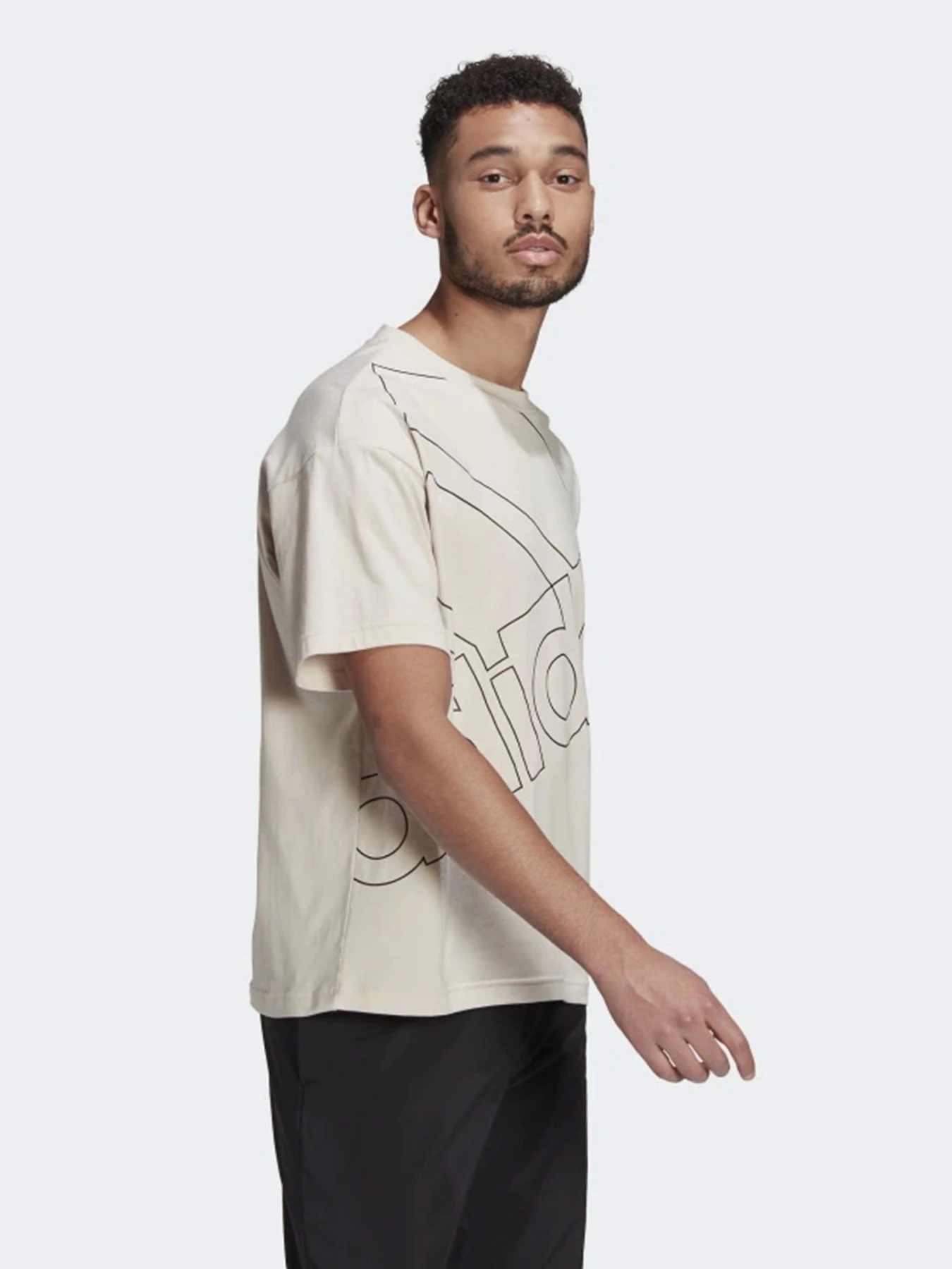 Футболки і поло Adidas GIANT LOGO модель GK9423 Фото