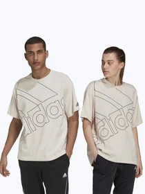 Футболки і поло Adidas GIANT LOGO модель GK9423 Фото