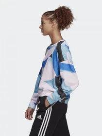 Худи и свитшоты Adidas SPORTSWEAR NINI SUM модель GL9540 Фото