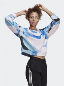 Худи и свитшоты Adidas SPORTSWEAR NINI SUM модель GL9540 Фото
