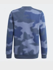 Худи и свитшоты Adidas ALLOVER PRINT CAMO CREW модель GN4130 Фото