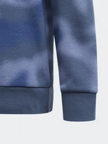Худи и свитшоты Adidas ALLOVER PRINT CAMO CREW модель GN4130 Фото