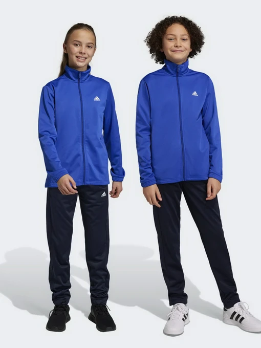 Костюмы Adidas ESSENTIALS BIG LOG модель HR6408 Фото