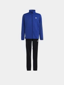 Костюми Adidas ESSENTIALS BIG LOG модель HR6408 Фото