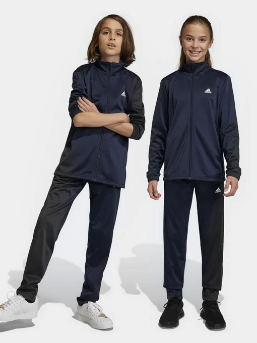 Костюми Adidas Essentials Big Log модель IC5685 Фото