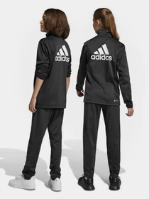 Костюмы Adidas Essentials Big Log модель IC5685 Фото