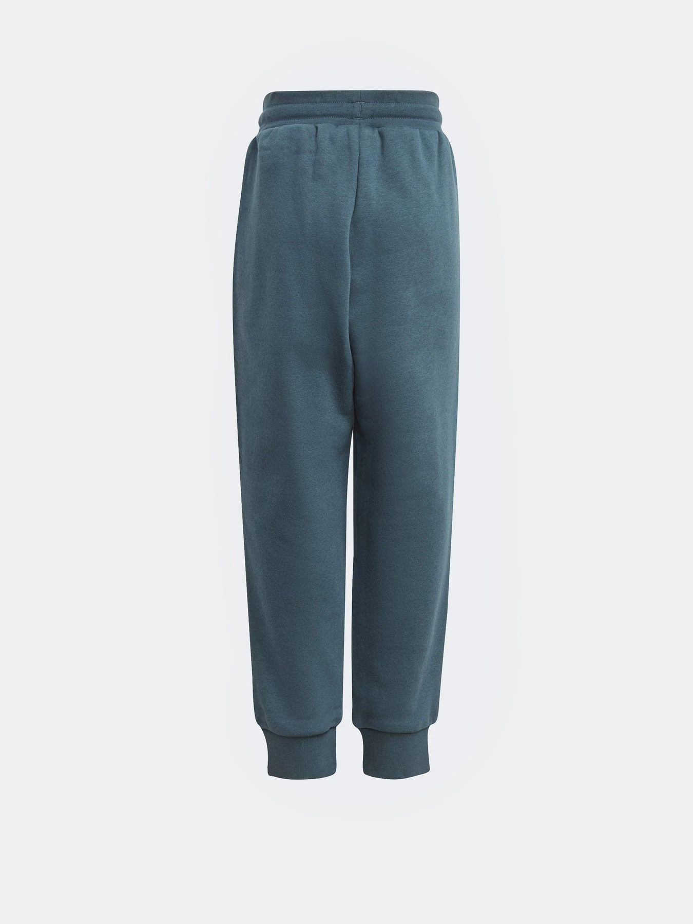 Костюмы Adidas Adicolor Originals модель IJ7289 Фото