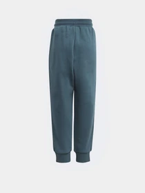 Костюмы Adidas Adicolor Originals модель IJ7289 Фото