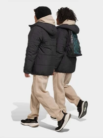 Брюки Adidas All SZN Fleece модель IB3234 Фото