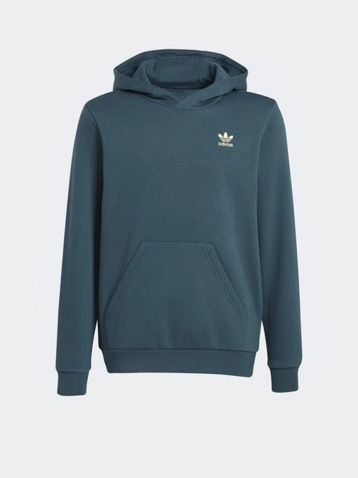 Худі та світшоти Adidas Adicolor модель IJ9717 Фото