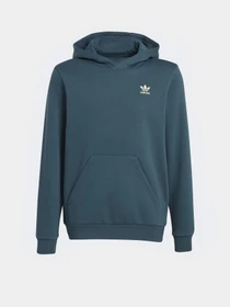 Худі та світшоти Adidas Adicolor модель IJ9717 Фото
