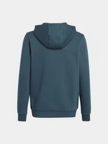 Худі та світшоти Adidas Adicolor модель IJ9717 Фото
