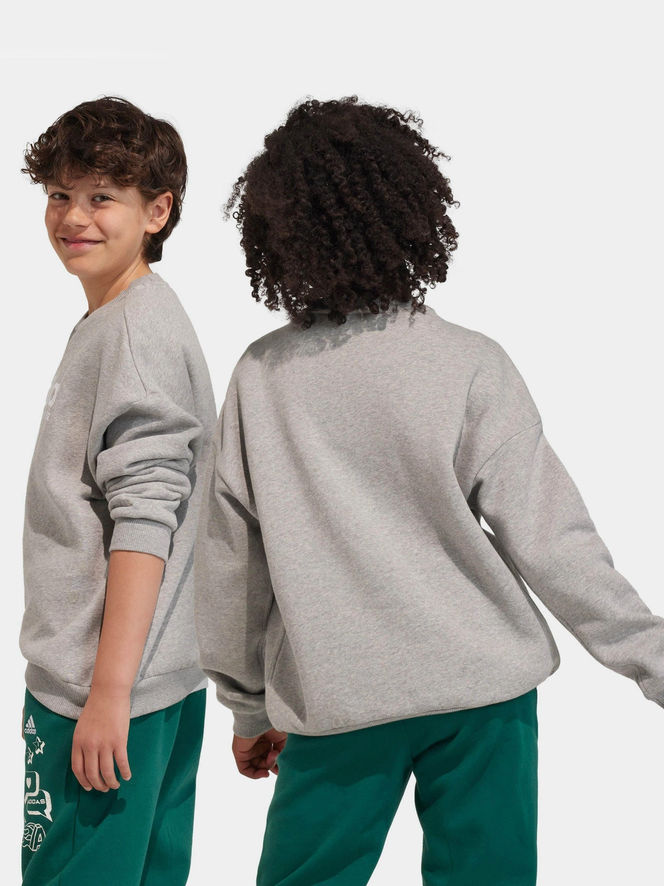 Худі та світшоти Adidas Fleece Crew модель IL4931 Фото