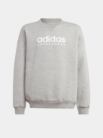 Худі та світшоти Adidas Fleece Crew модель IL4931 Фото