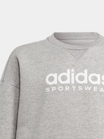 Худі та світшоти Adidas Fleece Crew модель IL4931 Фото