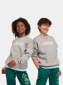 Худі та світшоти Adidas Fleece Crew модель IL4931 Фото