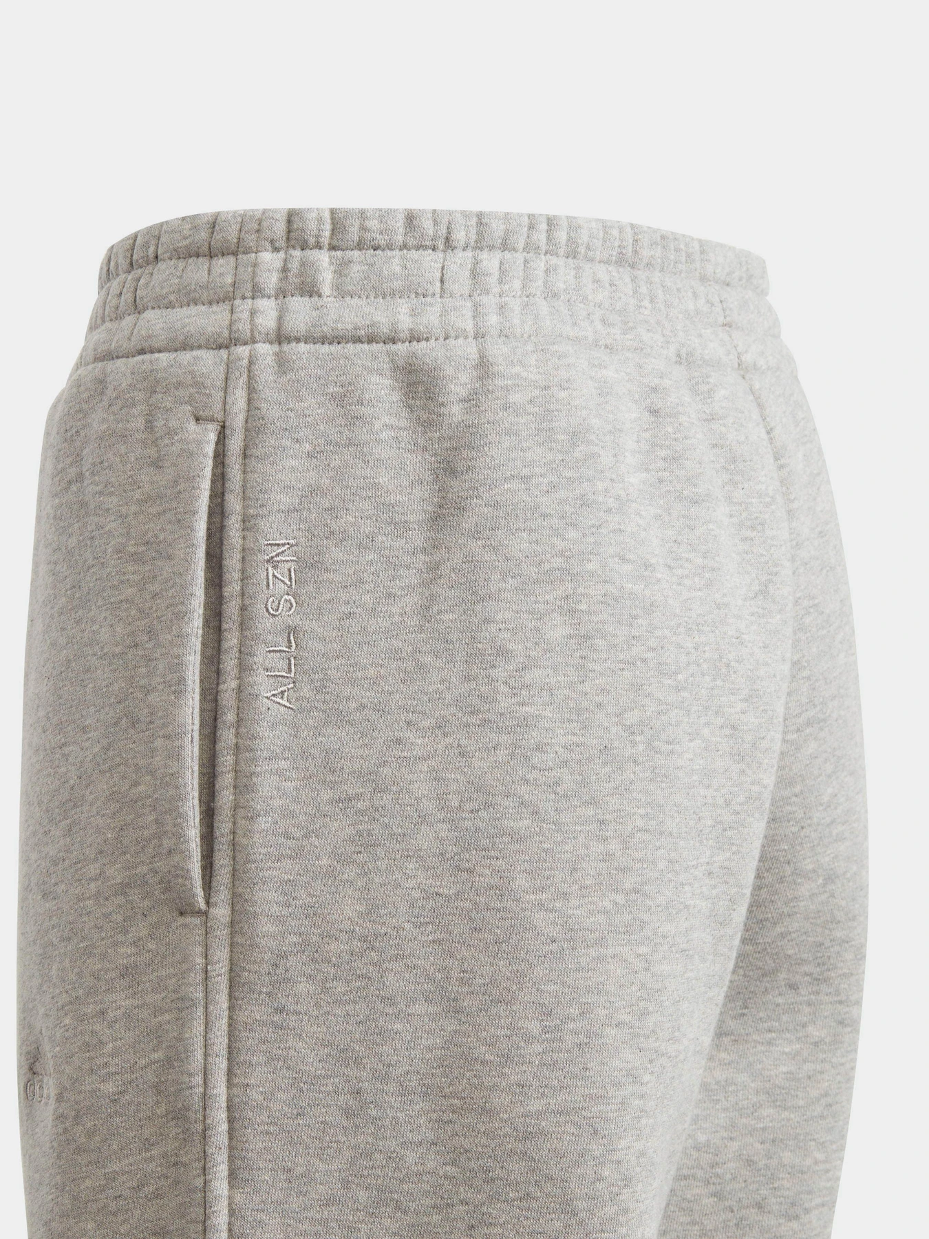 Брюки Adidas All SZN Fleece модель IL4936 Фото