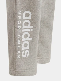Брюки Adidas All SZN Fleece модель IL4936 Фото