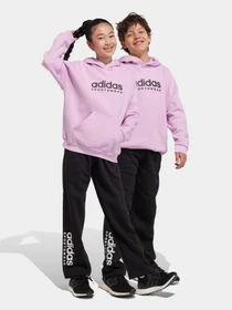 Брюки Adidas All SZN Fleece модель IL4937 Фото