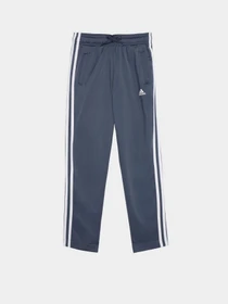Костюмы Adidas SPRING модель IS2637 Фото