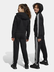 Брюки Adidas ESSENTIALS 3-STRIPES FLEECE модель HR6333 Фото