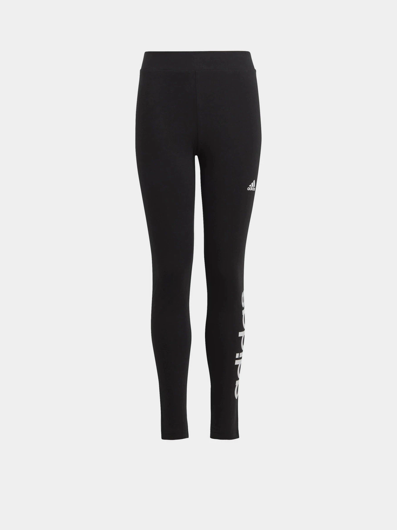 Брюки Adidas ESSENTIALS LINEAR LOGO COTTON модель IC3579 Брюки Adidas ESSENTIALS LINEAR LOGO COTTON модель IC3579 Фото