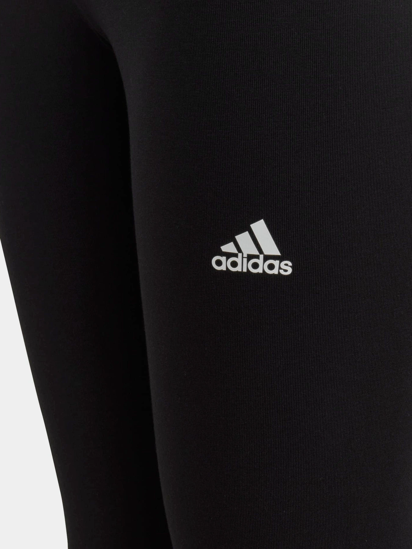 Брюки Adidas ESSENTIALS LINEAR LOGO COTTON модель IC3579 Брюки Adidas ESSENTIALS LINEAR LOGO COTTON модель IC3579 Фото