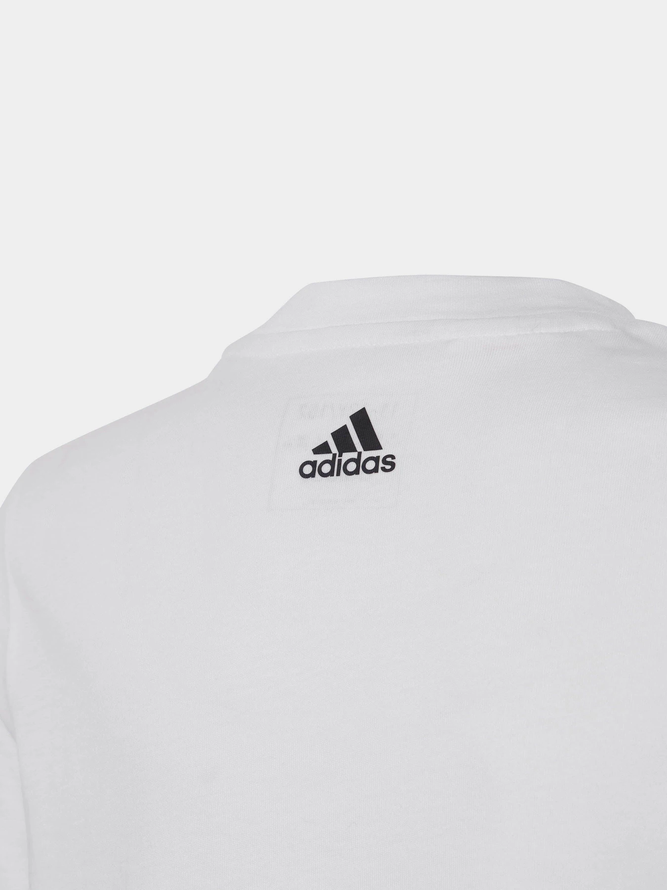 Футболки и поло Adidas ESSENTIALS LINEAR LOGO COTTON модель IC9969 Футболки и поло Adidas ESSENTIALS LINEAR LOGO COTTON модель IC9969 Фото