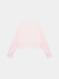 Костюмы Adidas FUTURE ICONS LOGO модель IS3403 Фото