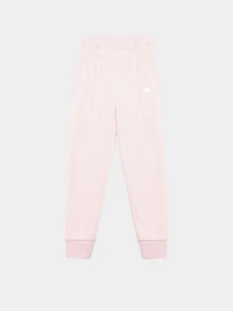 Костюмы Adidas FUTURE ICONS LOGO модель IS3403 Фото