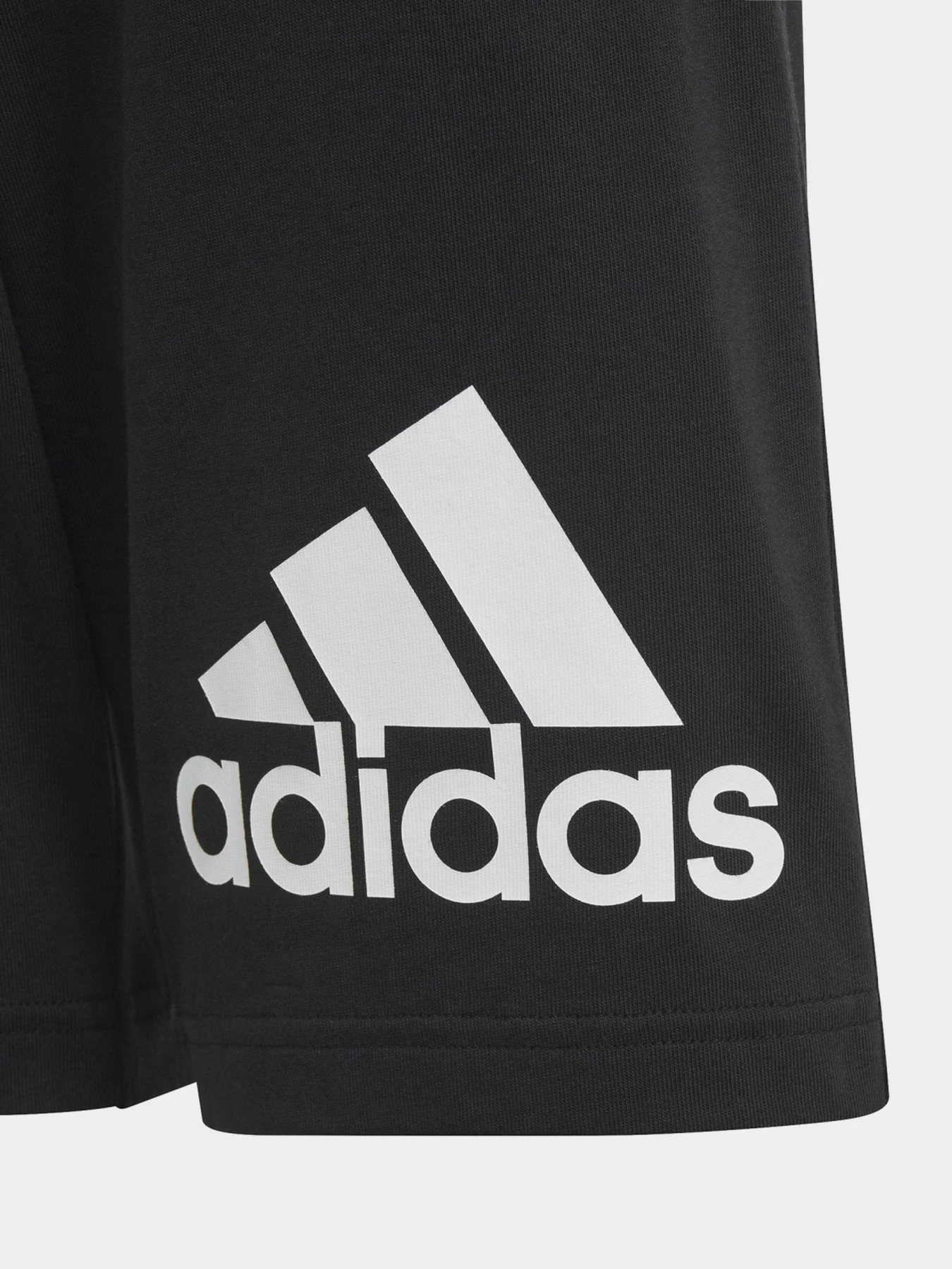 Шорты Adidas ESSENTIALS BIG LOGO COTTON SPO модель HY4718 Шорты Adidas ESSENTIALS BIG LOGO COTTON SPO модель HY4718 Фото