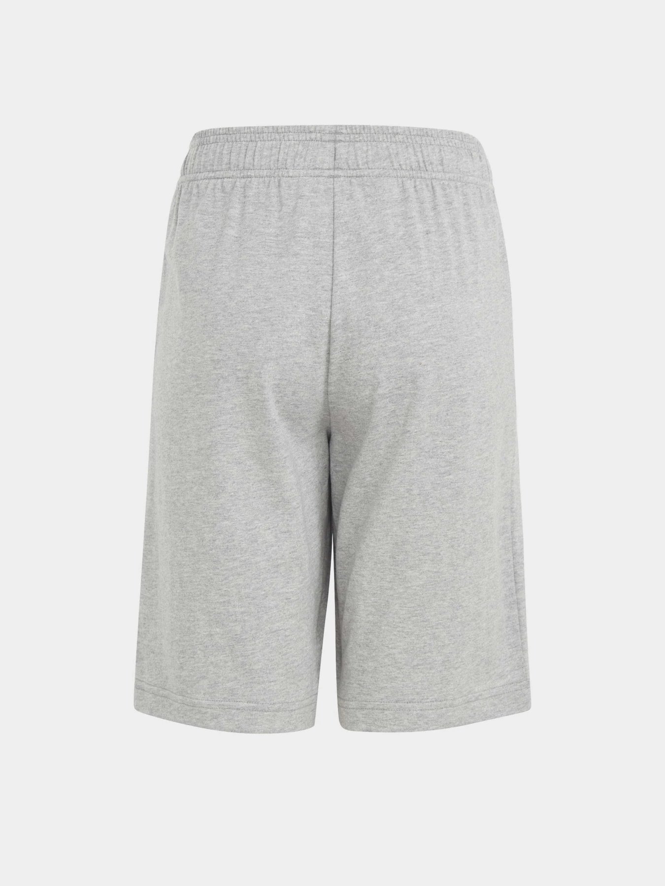 Шорты Adidas ESSENTIALS BIG LOGO COTTON модель HY4720 Шорты Adidas ESSENTIALS BIG LOGO COTTON модель HY4720 Фото