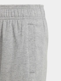Шорты Adidas ESSENTIALS BIG LOGO COTTON модель HY4720 Фото