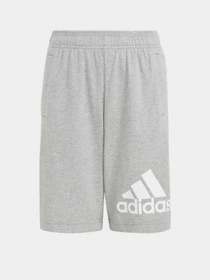 Шорты Adidas ESSENTIALS BIG LOGO COTTON модель HY4720 Фото