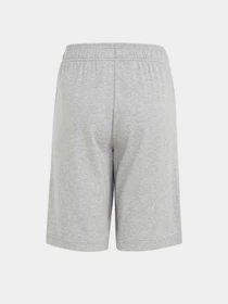 Шорты Adidas ESSENTIALS BIG LOGO COTTON модель HY4720 Фото