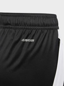 Шорты Adidas TIRO 24 PERFORMANCE модель IR9368 Фото