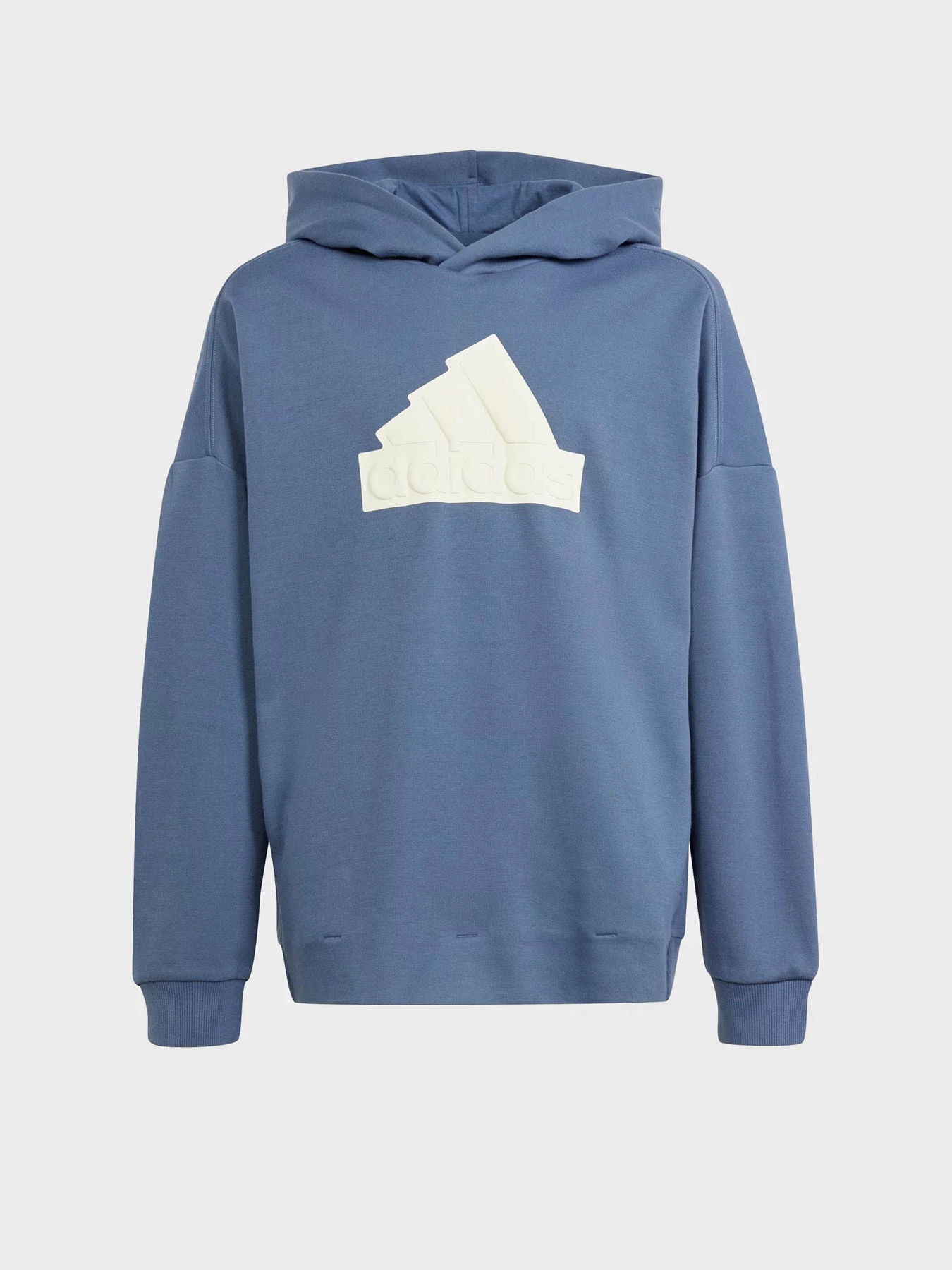 Худі та світшоти Adidas FUTURE ICONS LOGO SPORTSWEAR модель IR8306 Фото