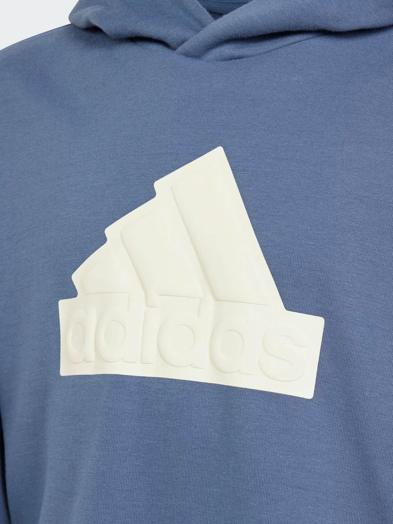 Худі та світшоти Adidas FUTURE ICONS LOGO SPORTSWEAR модель IR8306 Фото