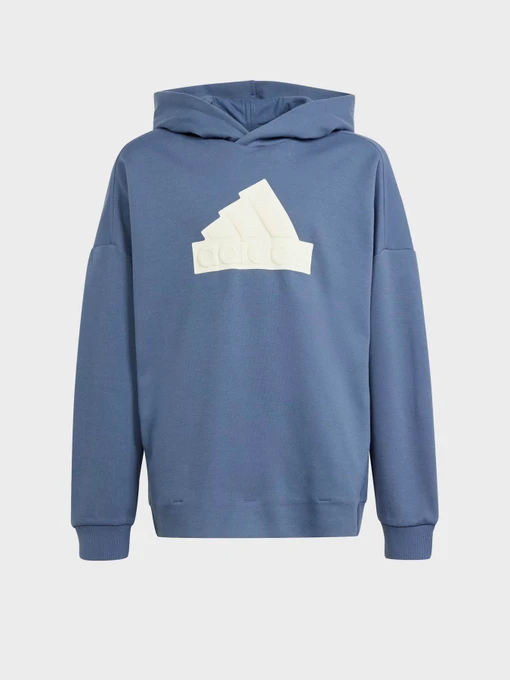 Худі та світшоти Adidas FUTURE ICONS LOGO SPORTSWEAR модель IR8306 Фото