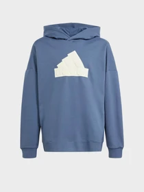 Худі та світшоти Adidas FUTURE ICONS LOGO SPORTSWEAR модель IR8306 Фото
