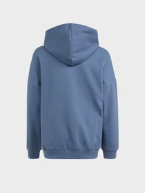 Худі та світшоти Adidas FUTURE ICONS LOGO SPORTSWEAR модель IR8306 Фото