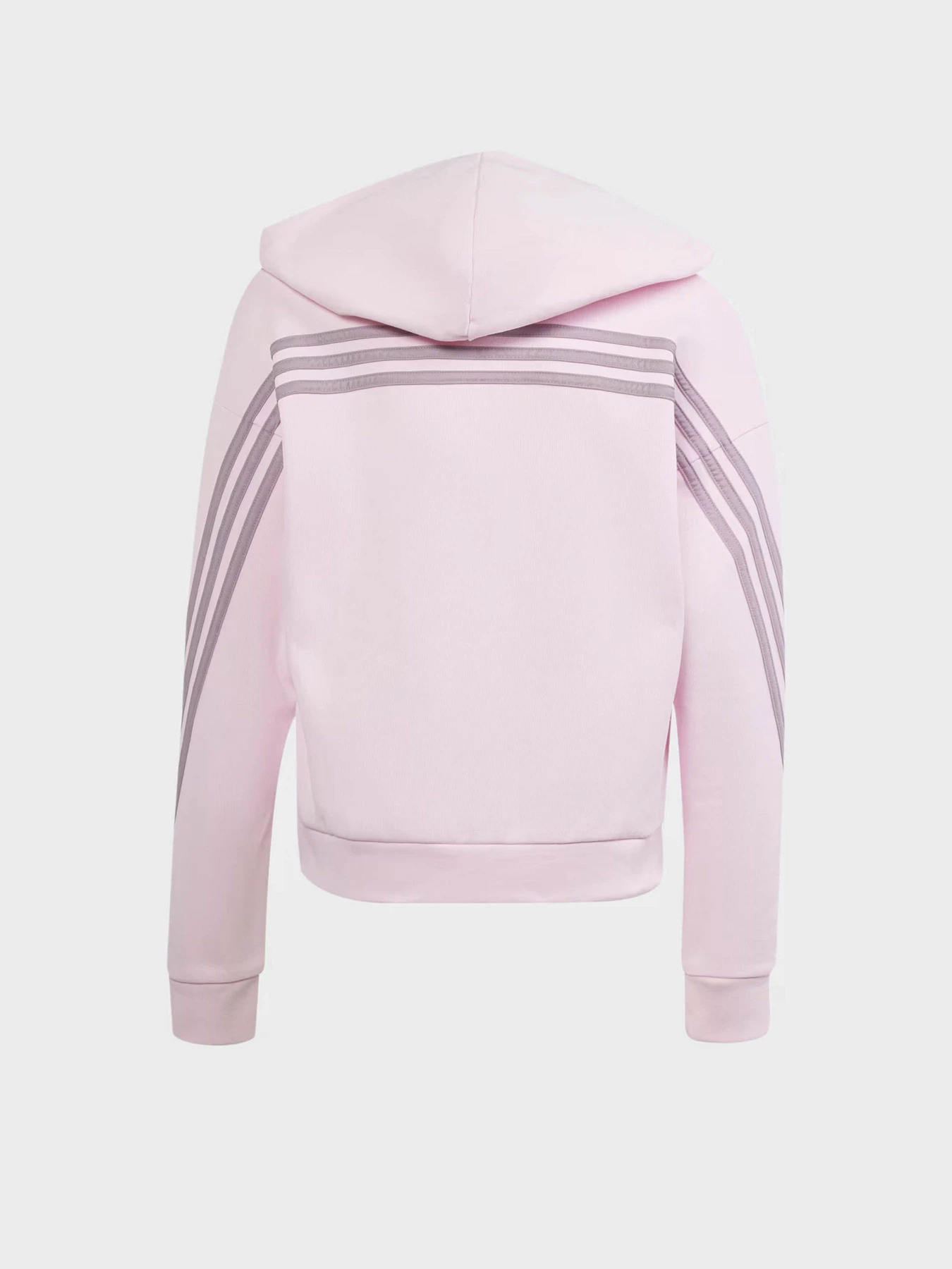 Худи и свитшоты Adidas FUTURE ICONS 3-STRIPES FULL-ZI модель IS3407 Худи и свитшоты Adidas FUTURE ICONS 3-STRIPES FULL-ZI модель IS3407 Фото